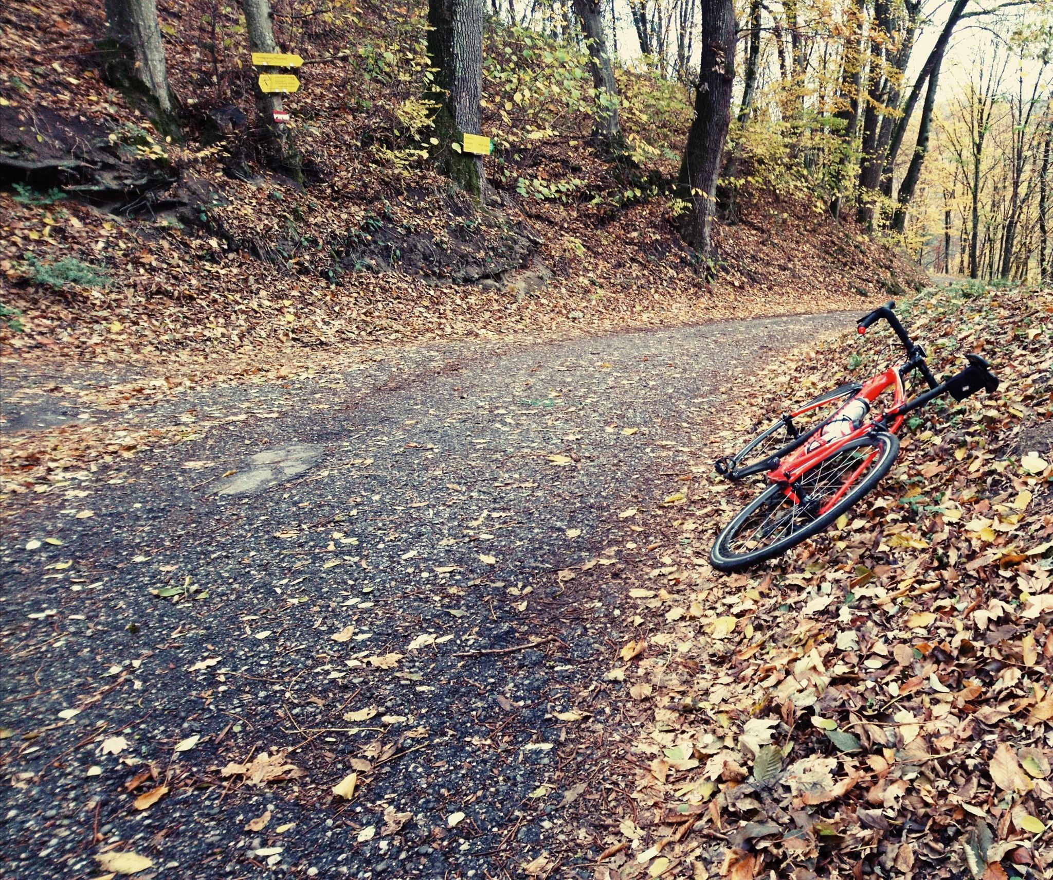 Herbsttermine Radsport 2020