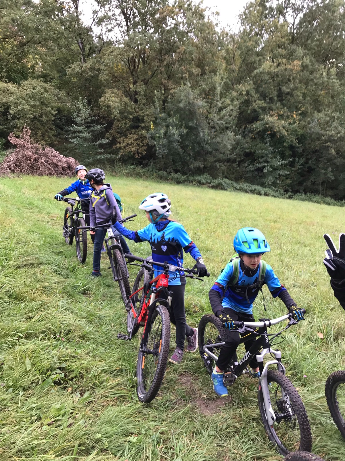 7923c55c-23b0-478c-b8ca-90a438e8775e