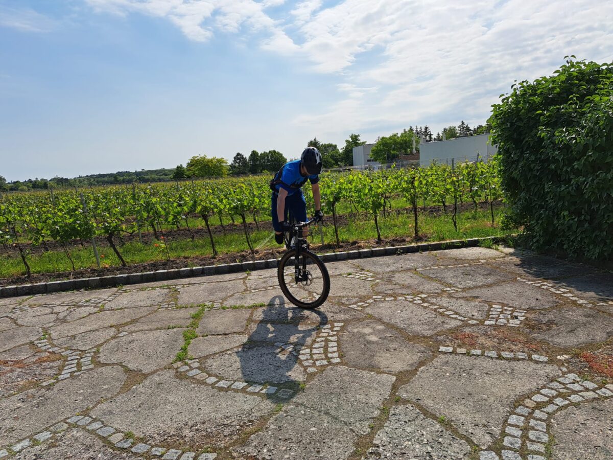 5579a6cd-2157-457f-a235-713f9525adc9