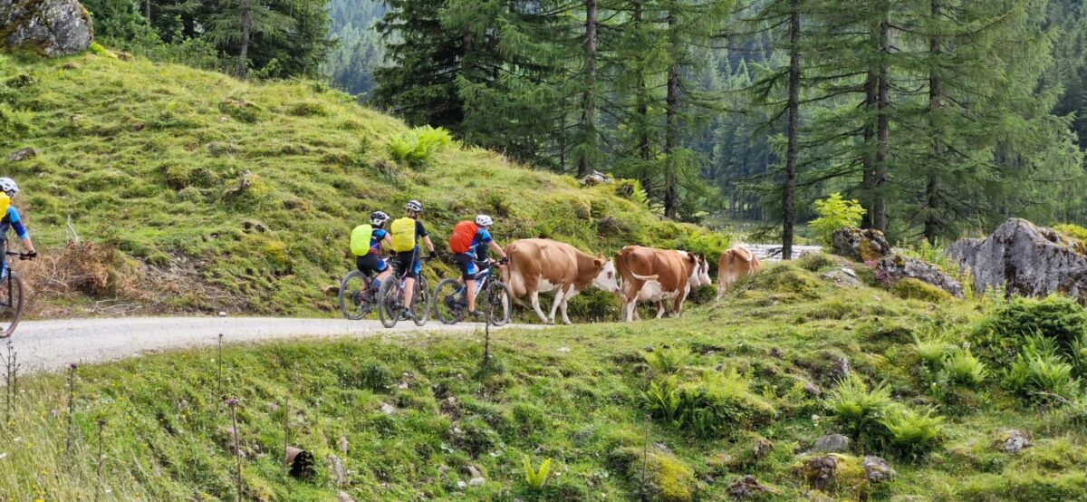 WhatsApp Image 2024-07-11 at 16.05.36 (1)